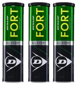 Dunlop Fort All Court Tennis Balls Dozen
