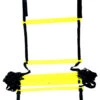 Pro's Pro Stepping Training Ladder