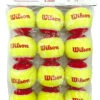 Wilson Starter Red Tennis Balls Dozen